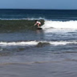 Meet your Posher, Madeleine